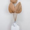 HOMEWARES Homewares | Vrhl141 - Single 20Cm Fan Palm - Small