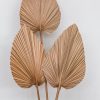 HOMEWARES Homewares | Vrhl141 - Single 40Cm Fan Palm - Large